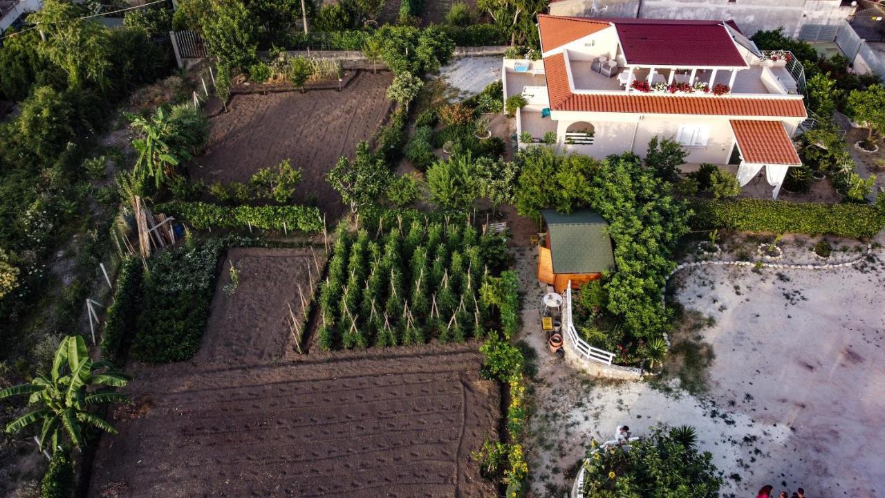 Michelino House Bed & Breakfast Parghelia Exterior photo