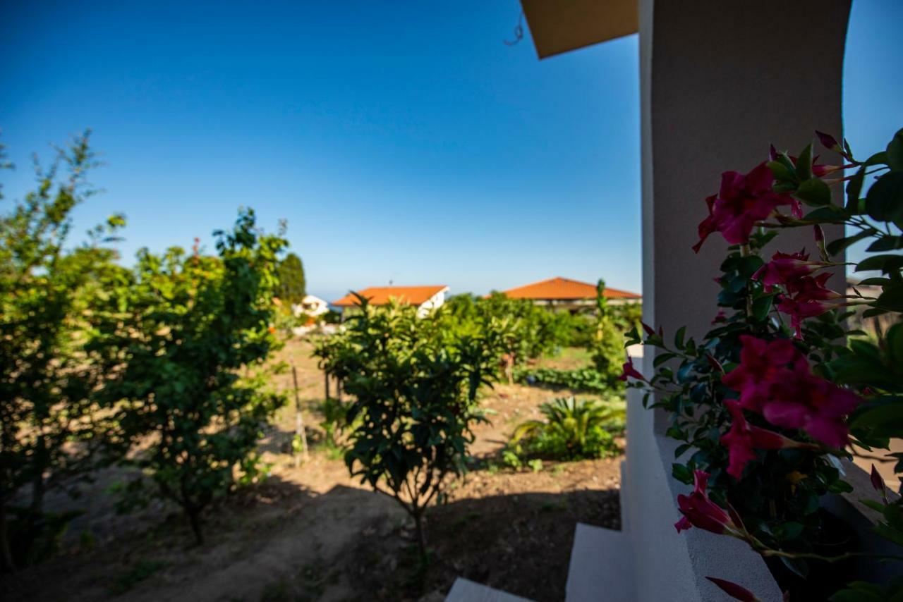 Michelino House Bed & Breakfast Parghelia Exterior photo